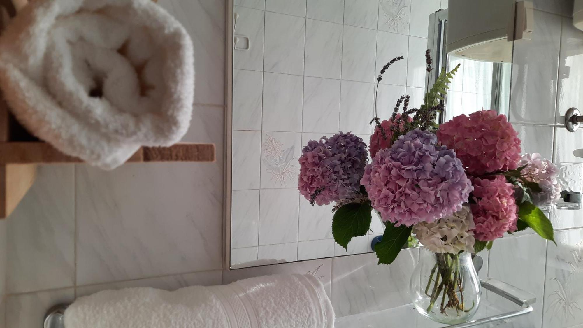 Apartments Villa Ida オパティヤ エクステリア 写真