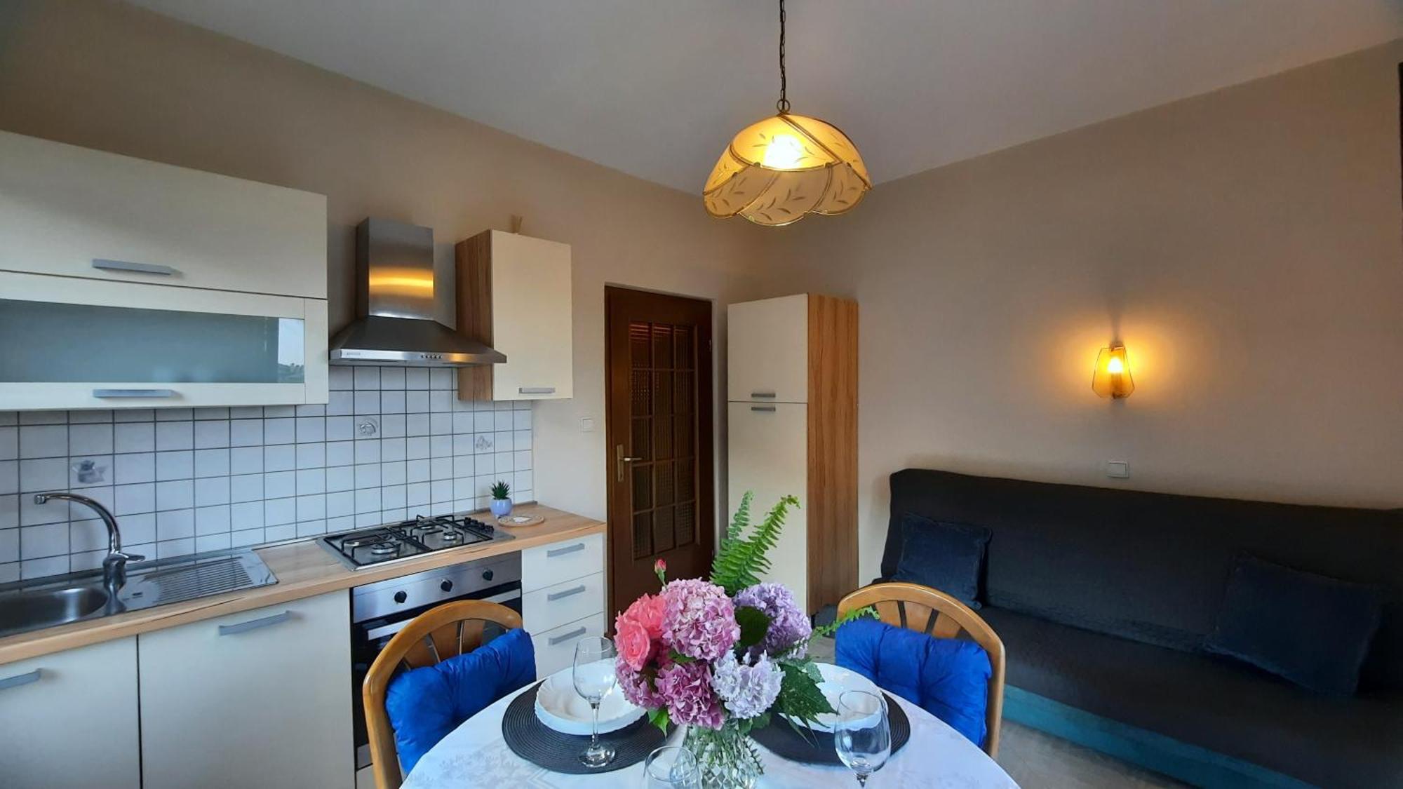 Apartments Villa Ida オパティヤ エクステリア 写真